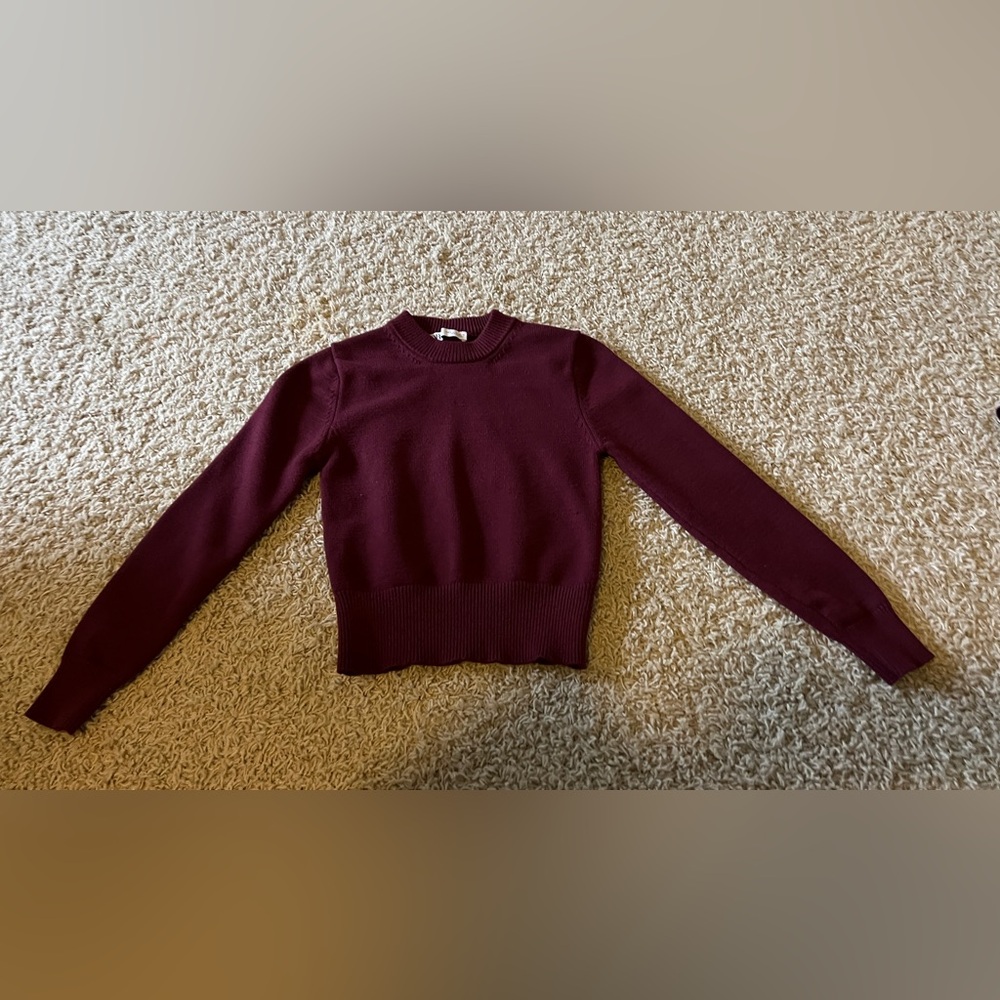 Zara burgundy sweater